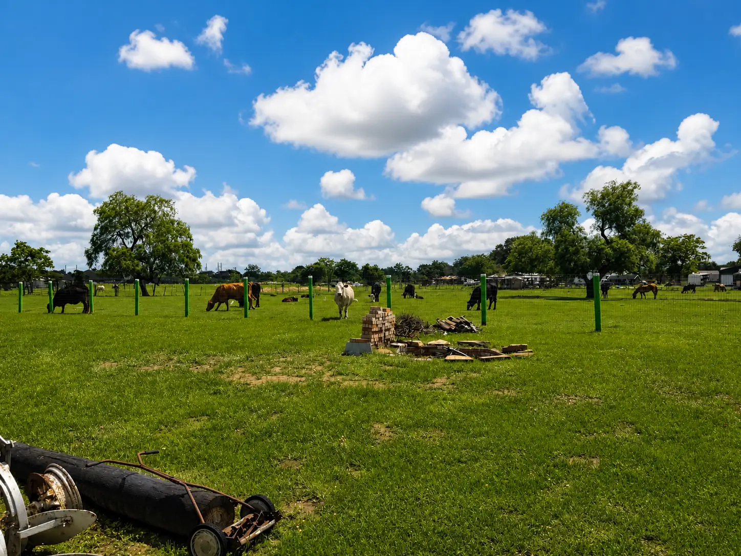 Land surrounding the Big Prayer Museum site